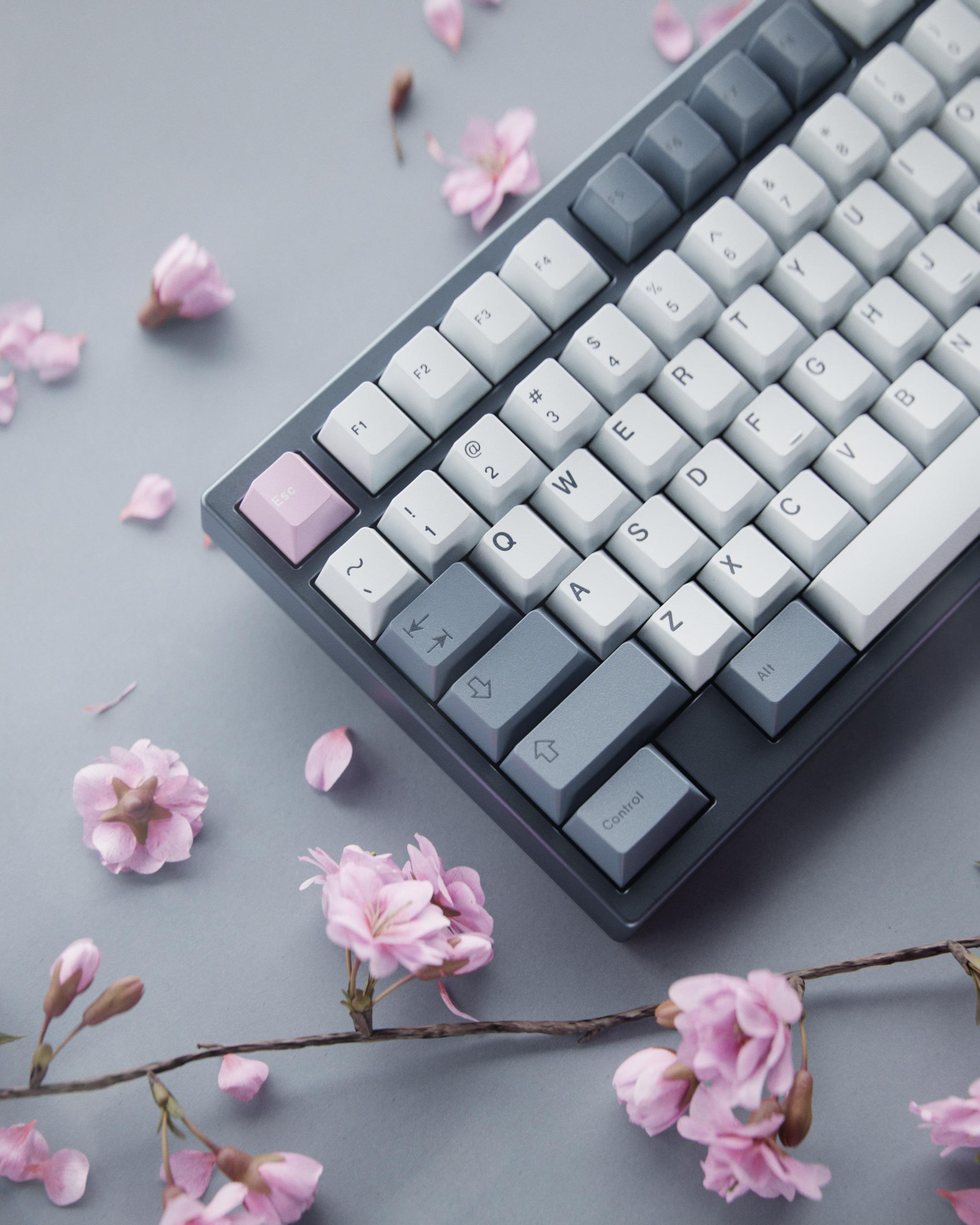 GMK Fuji (GB) - Keycap group buy cover image featuring GMK Fuji, keyboard set, keycaps, Katakana, Latin, Sakura, RAMA WORKS, deskmat collaborations, TGR Jane V2 CE, Cannon Keys, Monokei, international layouts