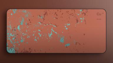 Thumbnail 13
