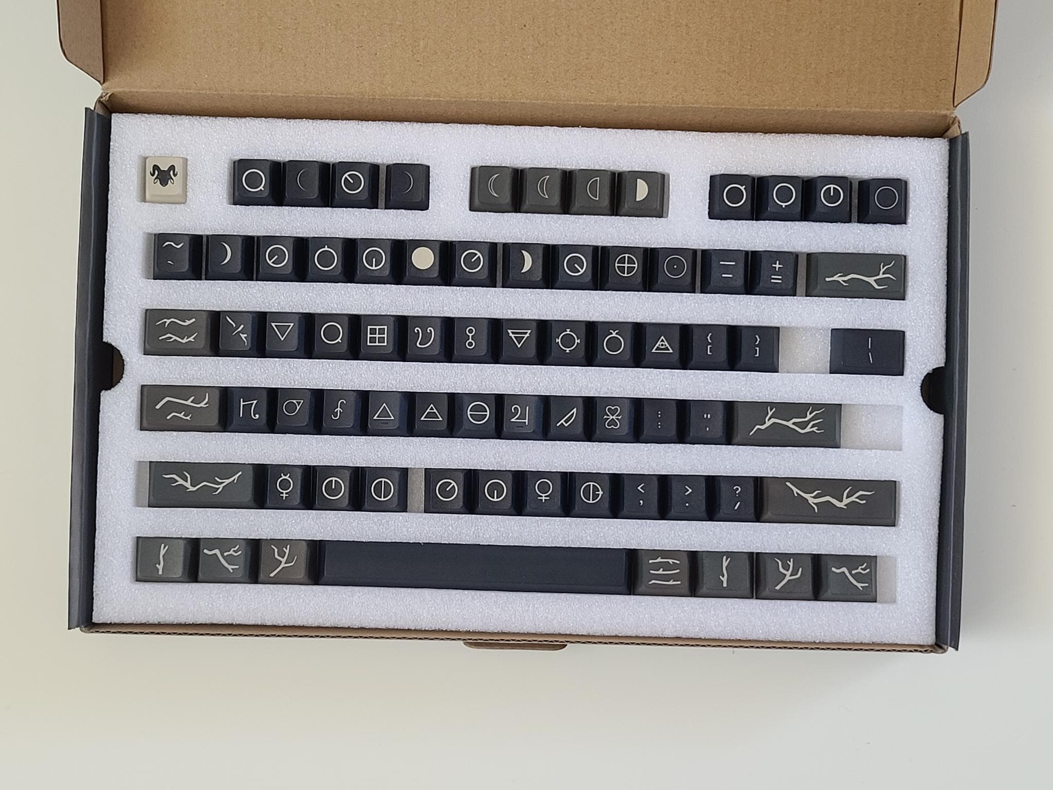 PBT Transmutation - Gallery image 2 showing project details