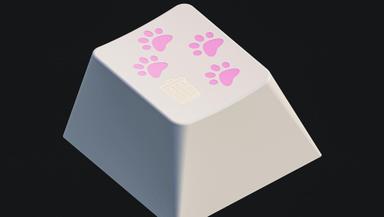 Thumbnail 16