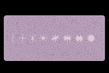 Thumbnail 21