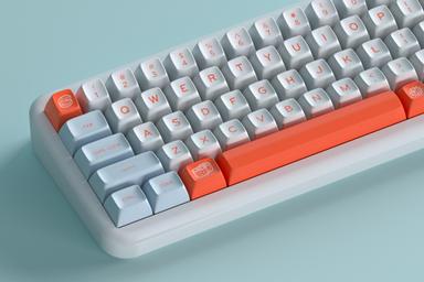 Thumbnail 11