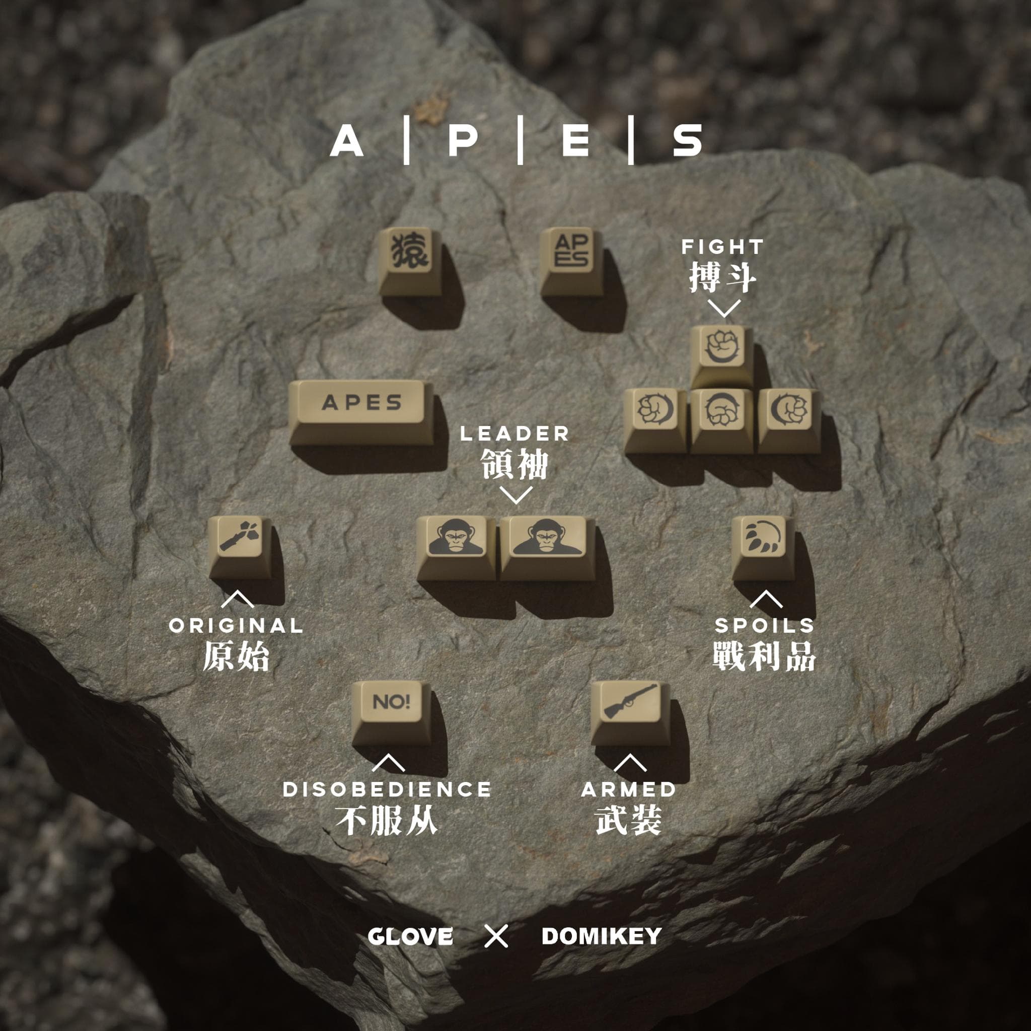 Domikey X GLOVE APES THEME - Gallery image 5 showing project details