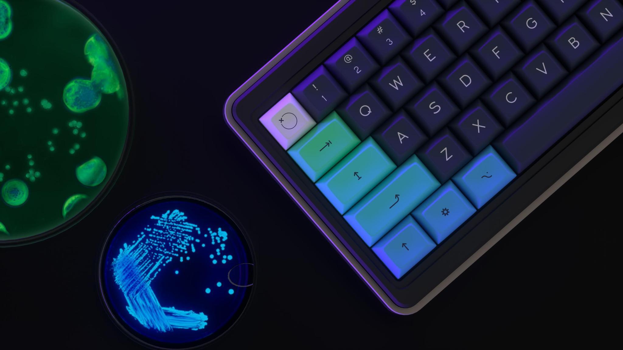 DSA PetriKeys (IC) - Keycap interest check cover image featuring DSA PetriKeys, keycap set, bioluminescence, custom mod icons, doubleshot SP DSA, Pantone colors, group buy, deskmats, collaborations, vendors
