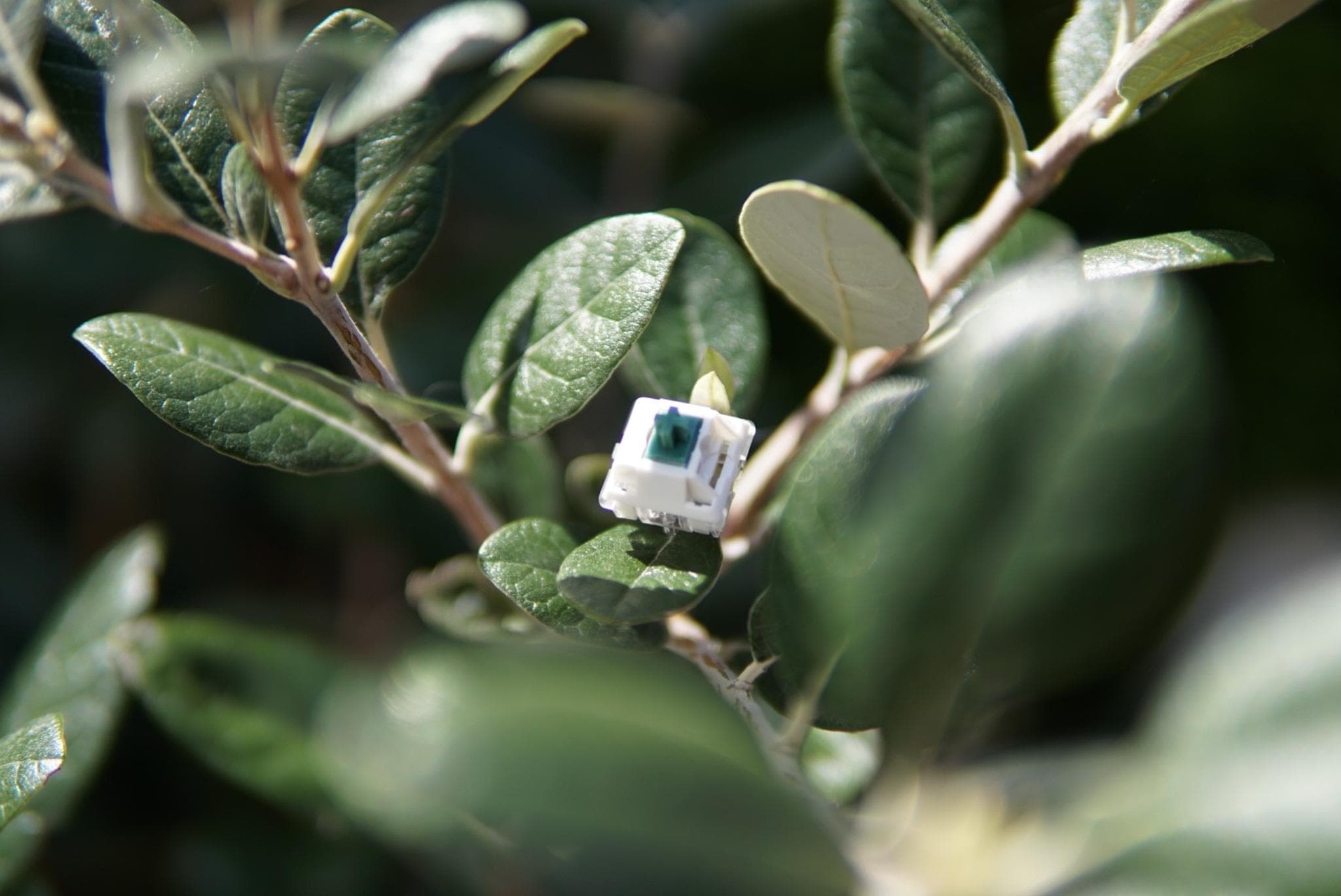 BUILTBYNIM Linear Switch - Gallery image 1 showing project details