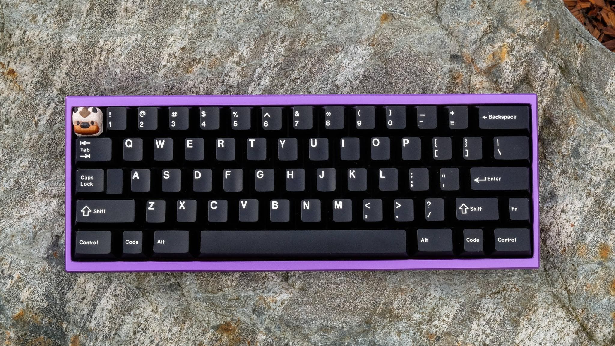 Nabi 60 - Gallery image 2 showing project details