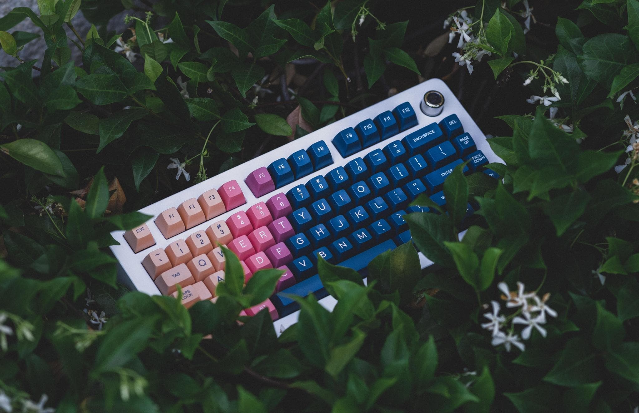 Paragon - Gallery image 4 showing project details