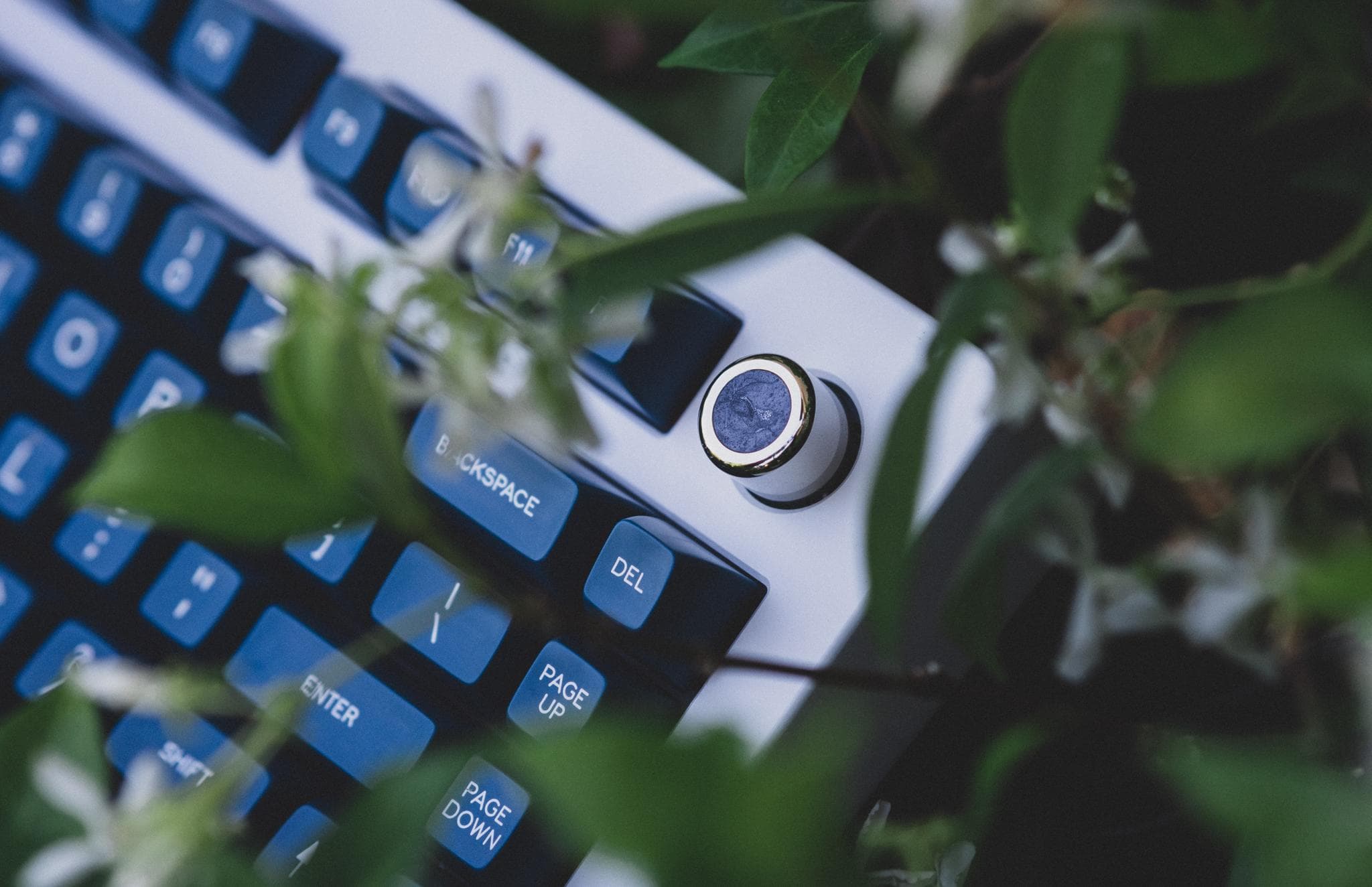 Paragon - Gallery image 5 showing project details