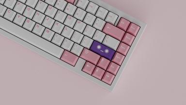 Thumbnail 12