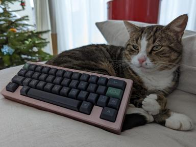 Thumbnail 0