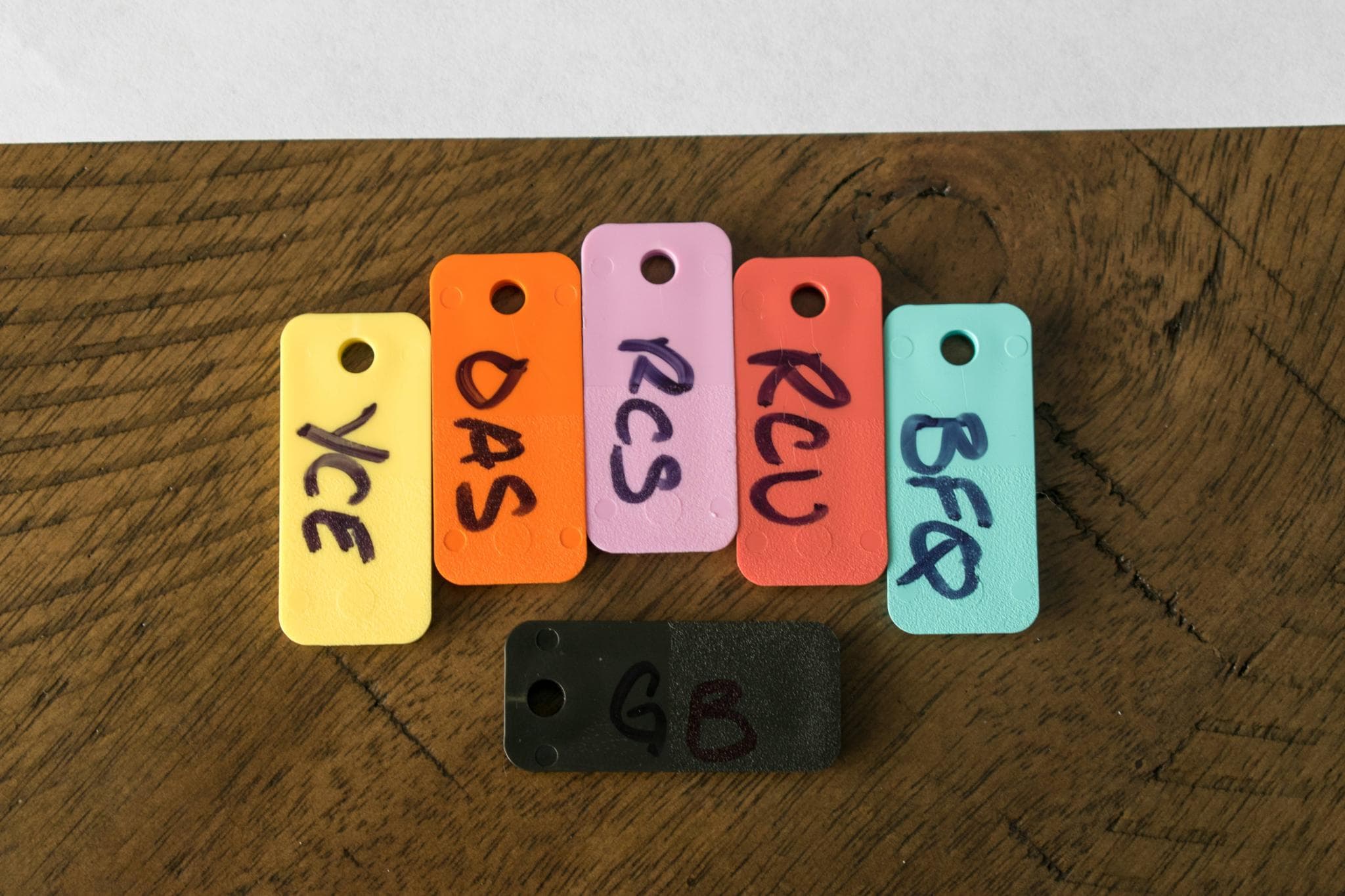 SP DSA Vegas Nights - Gallery image 3 showing project details