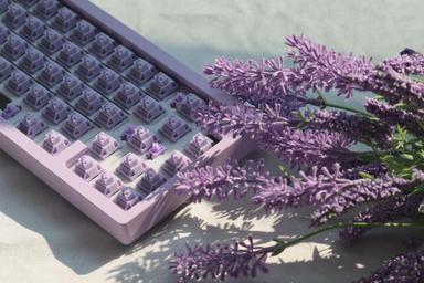 Thumbnail 14