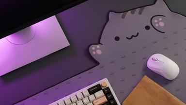 Thumbnail 28