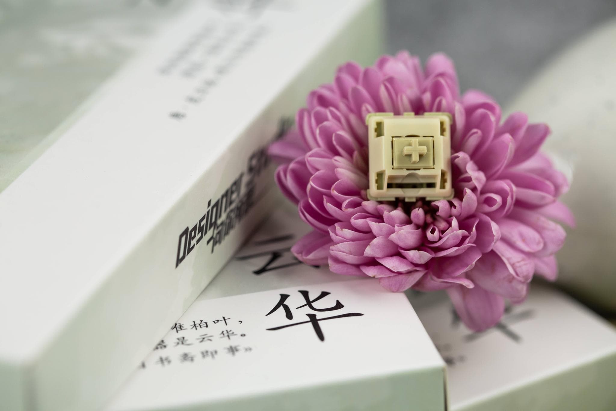 Yunhua (Cloud Tea) Switches - Gallery image 6 showing project details