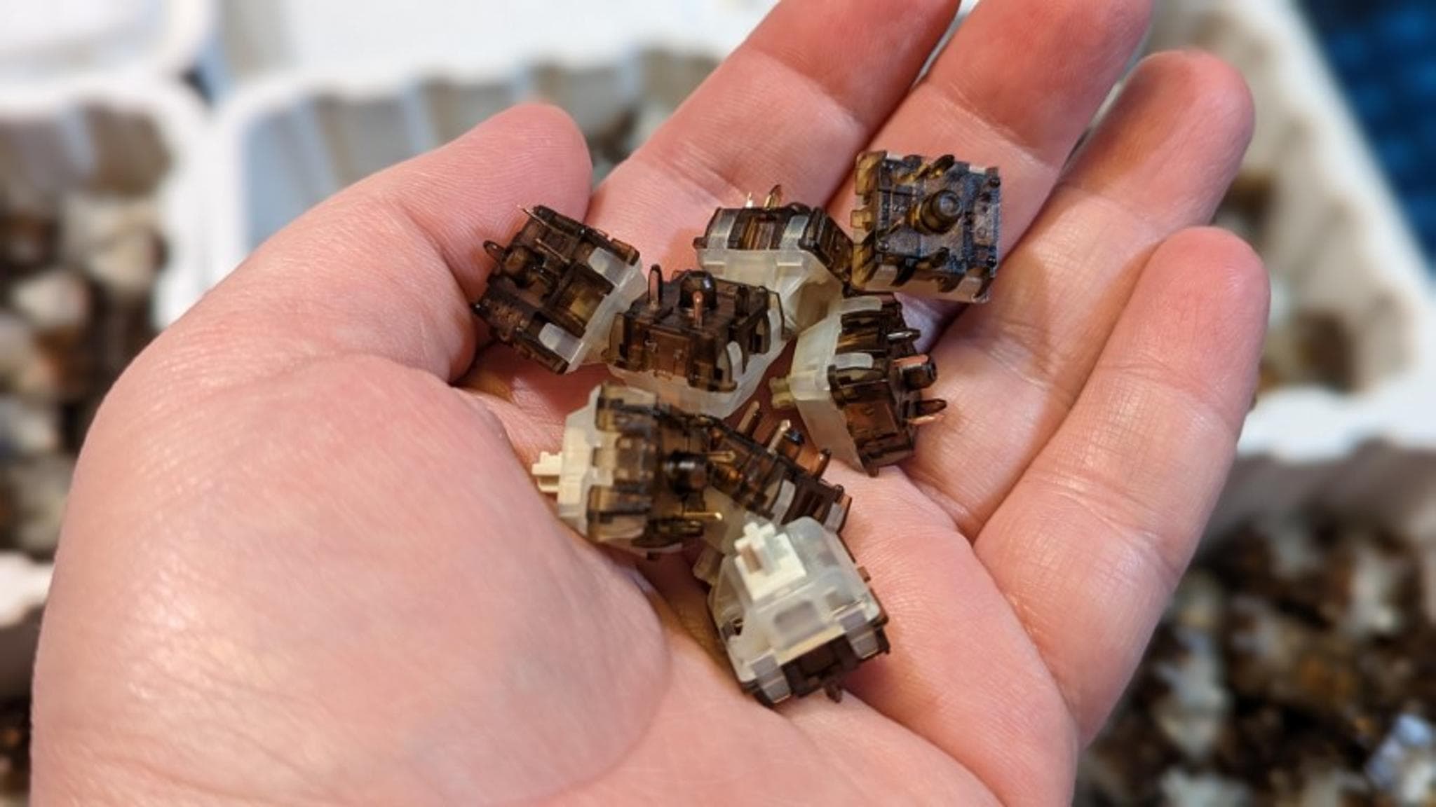 Gateron Root Beer Float Tactile Switch - Gallery image 5 showing project details