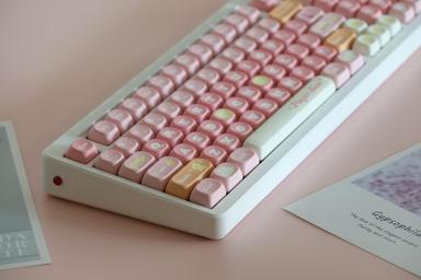 Thumbnail 15