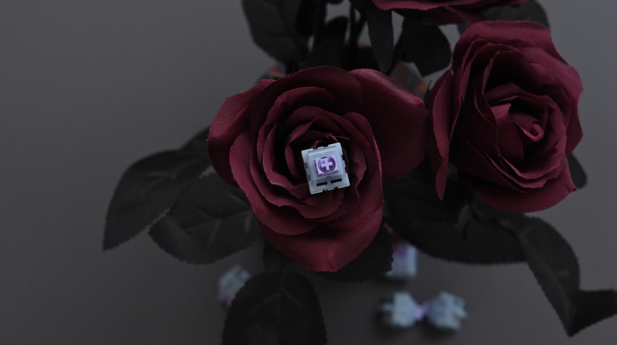 Gallery image 2