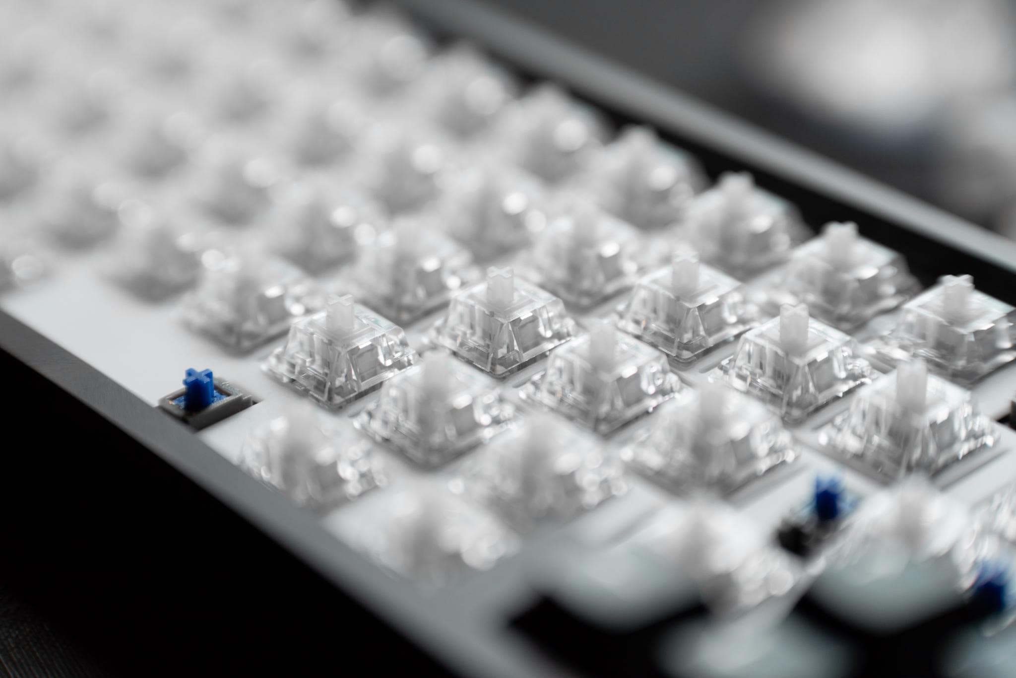 AM Icy Silver Pro Switches - Gallery image 5 showing project details