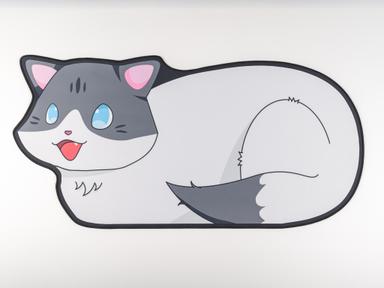Thumbnail 13