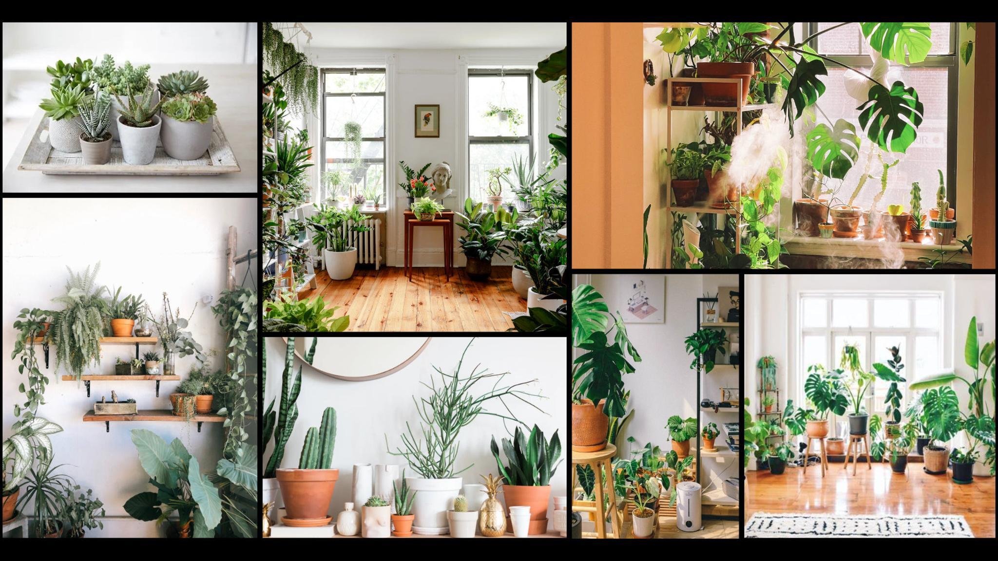 Gallery image 2