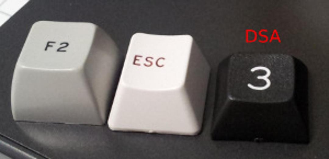 White on Black DSA Set (IC)