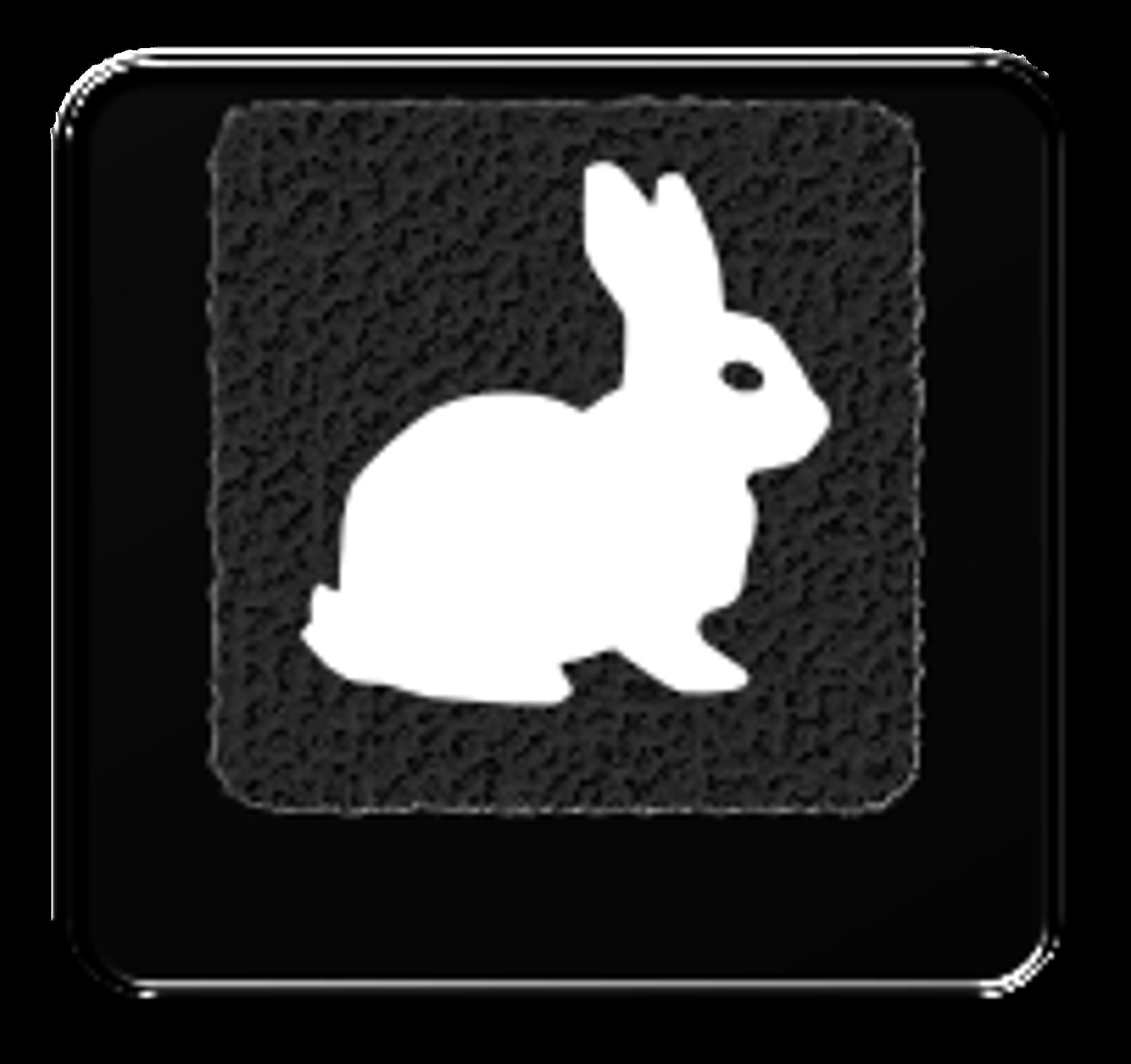 There is No Spoon: Reloaded (IC) - Keycap interest check cover image featuring White Rabbit, keycap, MOQ, ABS, DCS profile, Row 1, Row 2