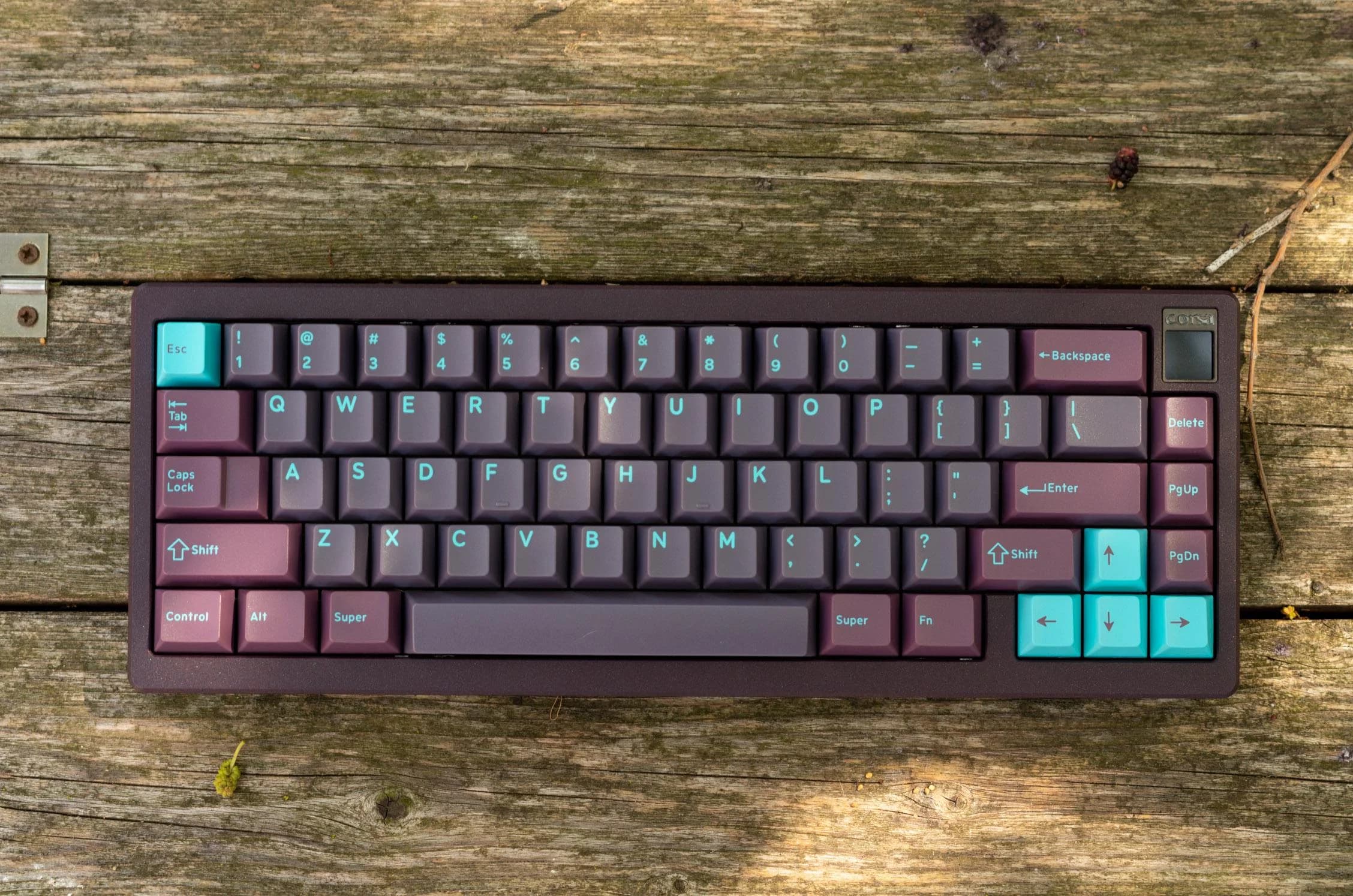 6XV 3.0 Corsa - Purple