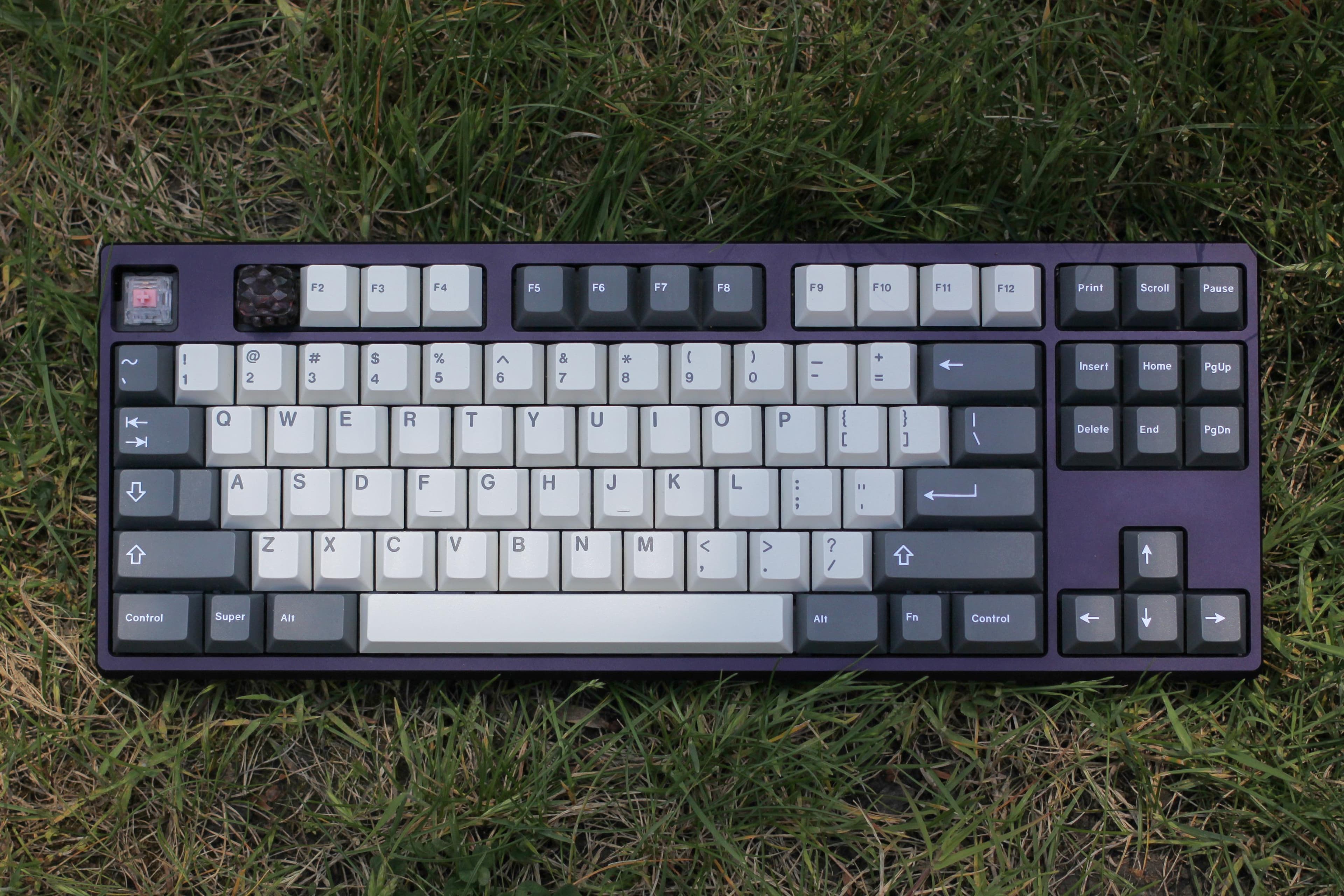 Frog TKL - Purple