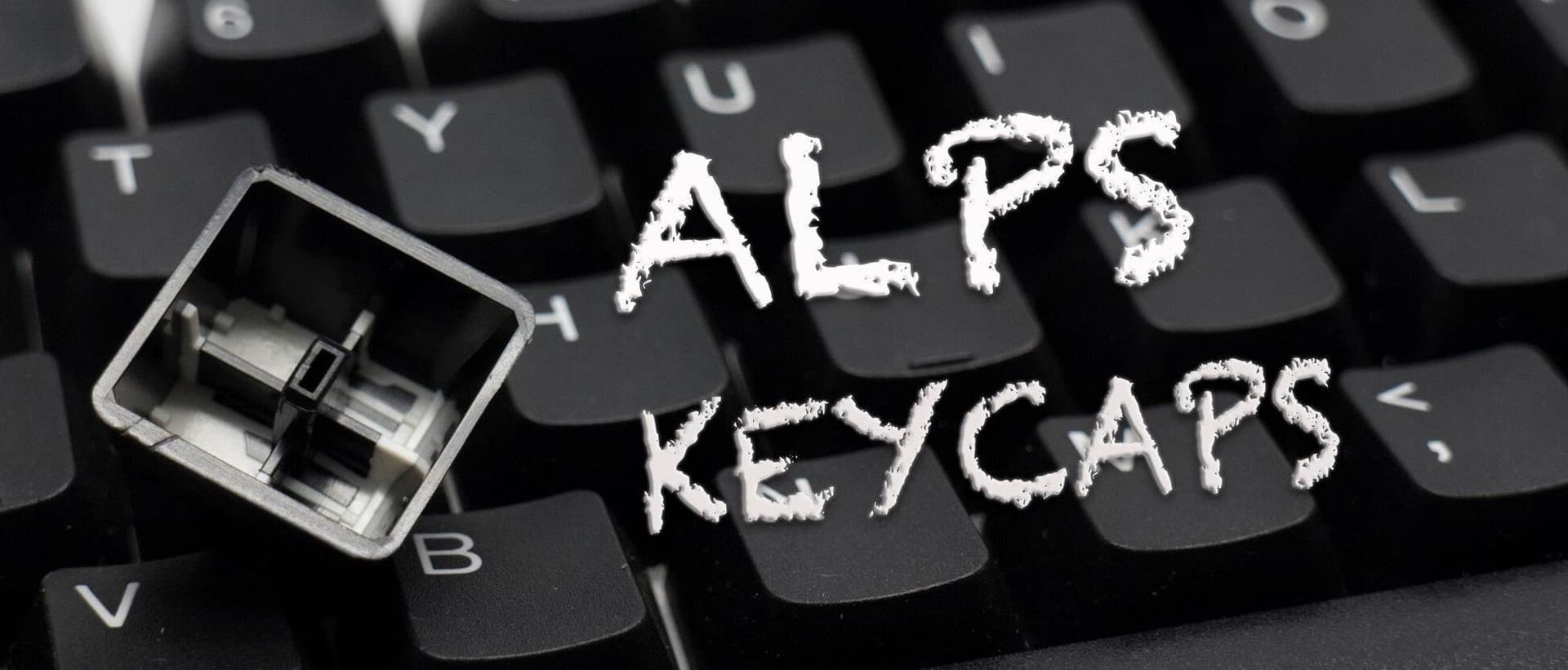 Tai-Hao White on Black and Vintage Alps