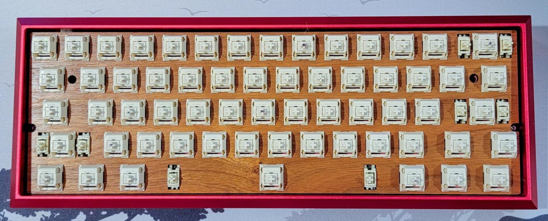 Organic Hardwood Plates for 60%